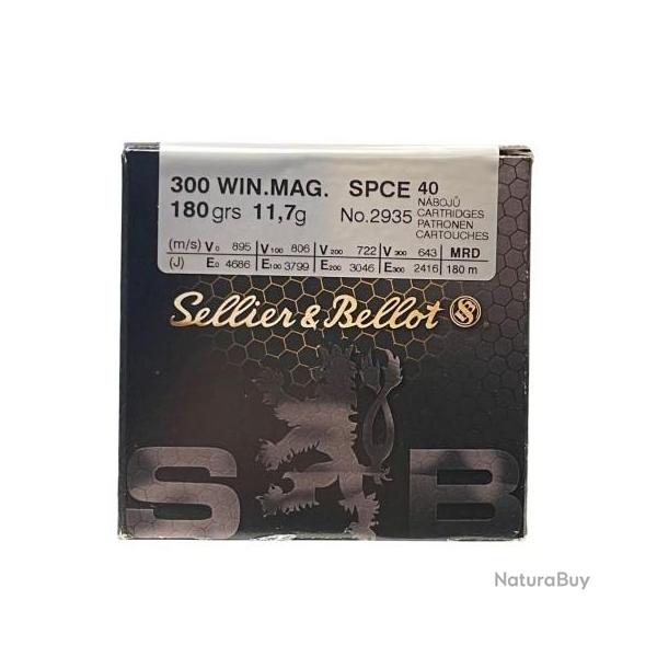 Balles Sellier & Bellot spce cal.300win 180gr 11.7g mag vrac par 40