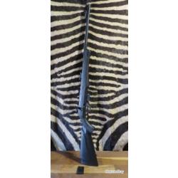 Carabine ROSSI 8117 cal.17hmr canon 53 cm fileté - 2 chargeurs - embases picatinny