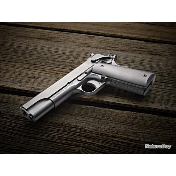 PISTOLET CABOT GUNS 1911 ICON INOX 45 ACP 5 POUCES