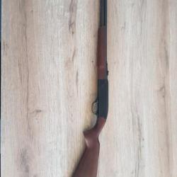 Rare Winchester 190 22lr semi-auto catégorie C 2+1