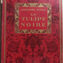 Livre La Tulipe Noire d'Alexandre Dumas chez Hachette