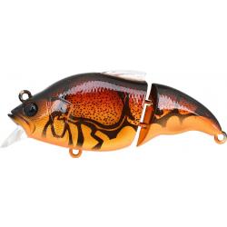 VIBRATION X VATALION SS - WILD CRAW