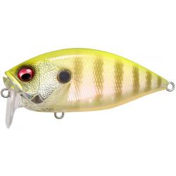 OVER REV CRANK - PM CHART BACK GILL