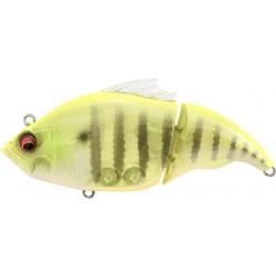 VATALION 115F - GP SEE THROUGH CHART GILL