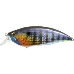 BIG M 2.0 - GG WILD GILL BM