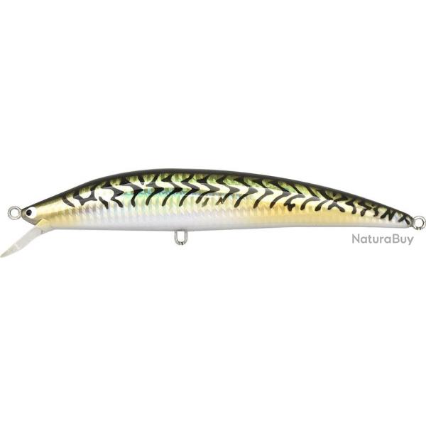 BKS 175 - MACKEREL