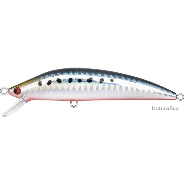 BKS 90 - 112 SARDINE RED BELLY