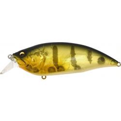 BIG M 2.0 - GP PRO PERCH ( SP-C )