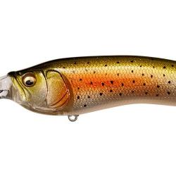 LIVE X MODEL1 - GLX RAINBOW