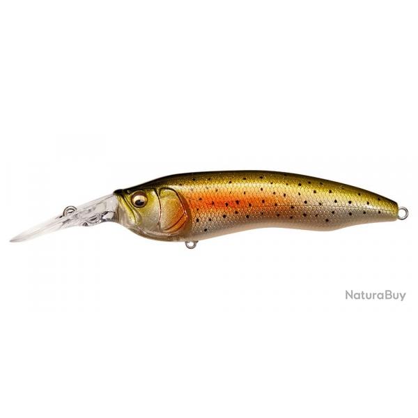 LIVE X MODEL1 - GLX RAINBOW