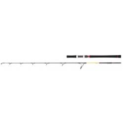 Canne Jigging Daiwa Grandwave 1.99m - Max-220g