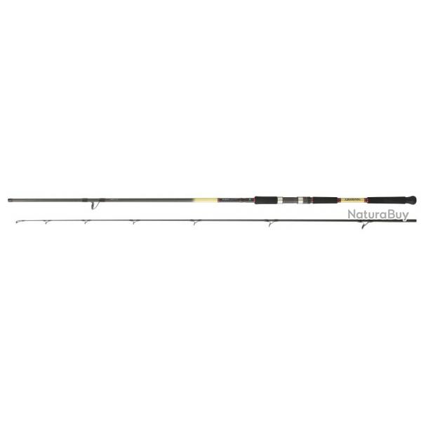 Canne Shore Jigging Daiwa Grandwave Shore Jig 2.90m - 14-56g