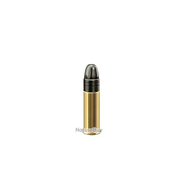 Cartouches RWS 22 LR PISTOL MATCH SR 20 boites ( 1000 munitions )