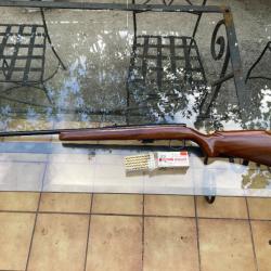 carabine remington 591m
