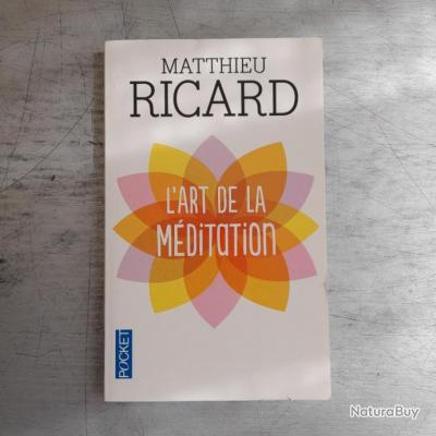 L'art de la méditation: Pourquoi méditer ? Sur quoi ? Comment ? Mathieu ...