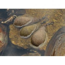 KORDA PLOMBS TEXTURED DISTANCE CASTING SWIVEL KORDA 98gr