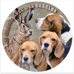 Autocollant pour véhicule Beagle et Lièvre