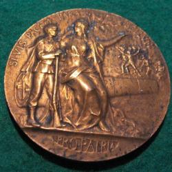 medaille en bronze  " prix du ministre de la guerre " 64 grs diametre 50 mm force et courage