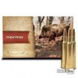 Balles Norma Pointe plastique 7x65R 11.gr 170 grains