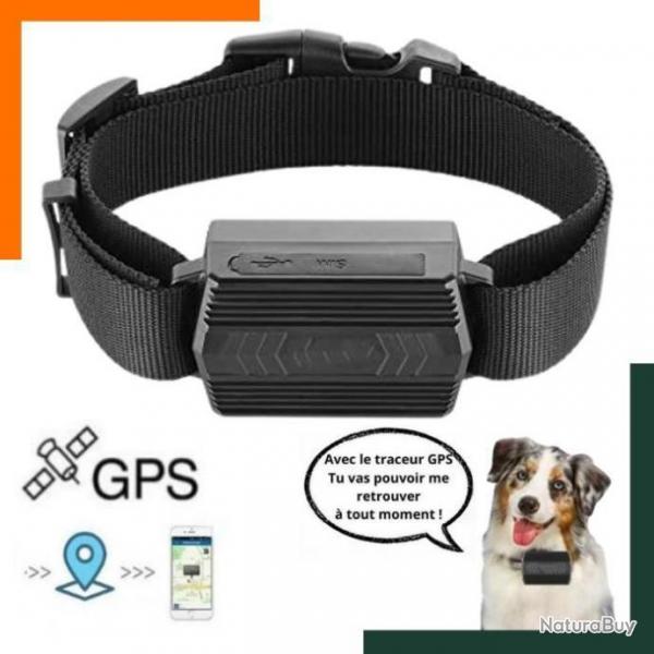 Collier GPS pour chien - Localisation GPS - Etanche -  Noir - Livraison rapide - Garantie 2 ans