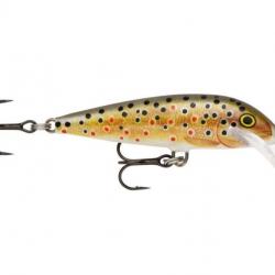 Leurre Rapala Scatter Rap Countdown 5cm TR