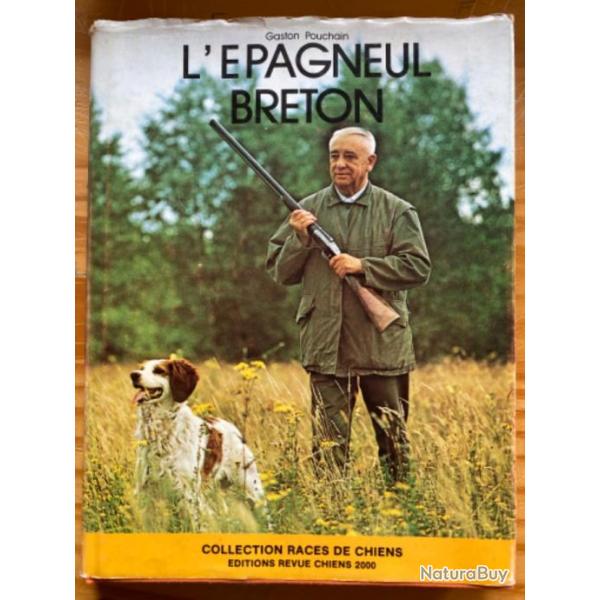 EPAGNEUL BRETON