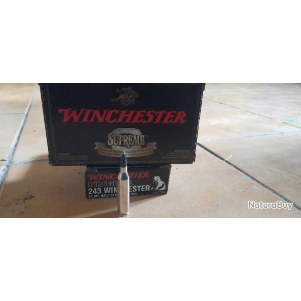 Vend 58 balles balistiques silvertip 55gr calibre 243 winchester.