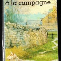 un parisien à la campagne de gérard calmettes