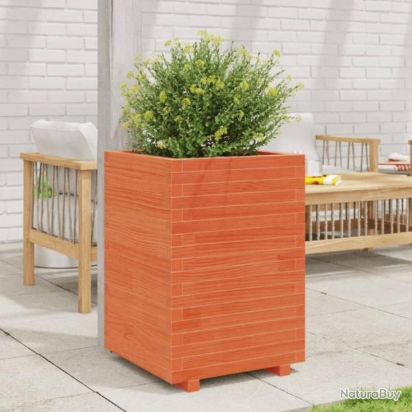 Jardinire cire marron 50x50x72,5 cm bois de pin massif