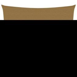 Voile d'ombrage 160 g/m² Taupe 4,5x4,5 m PEHD