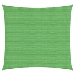 Voile d'ombrage 160 g/m² Vert clair 5x5 m PEHD