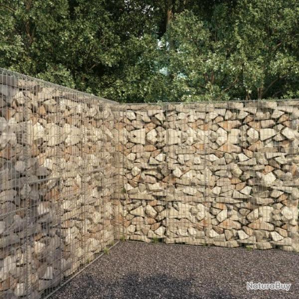 Mur en gabion avec couvercle Acier galvanis 300 x 50 x 200 cm