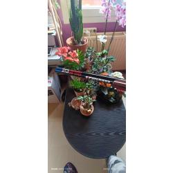 2 autocollants canon Ata Arms FRANCE. Expédition sous 24H GARANTIE