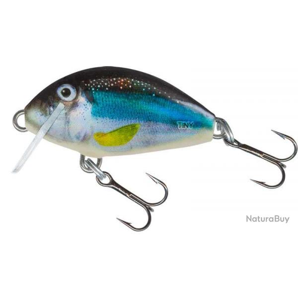 Poisson nageur Salmo Tiny 3cm IT3F Holo Smelt