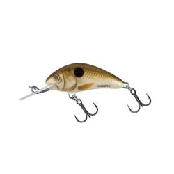 LEURRE DUR CRANKBAIT SALMO HORNET 4 PEARL Shad