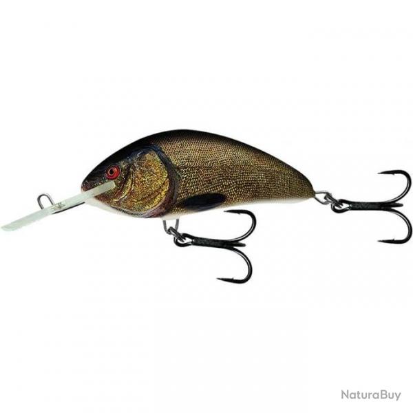 LEURRE DUR CRANKBAIT SALMO HORNET 9 SUPERNATURAL TENCH