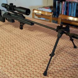 Long rail picatinny pour Mosin Nagant