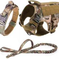 Harnais Laisse De Collier Tactique Militaire Ensemble Gilet Labrador Berger Allemand K9 Camouflage