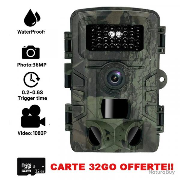 CAMRA CHASSE INFRAROUGE + CARTE SD OFFERTE - 44 LEDS 1080P IP65 - LIVRAISON GRATUITE