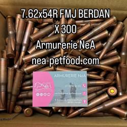 MUNITIONS STV SCORPIO 7.62X54R FMJ BERDAN X300 CAT.C