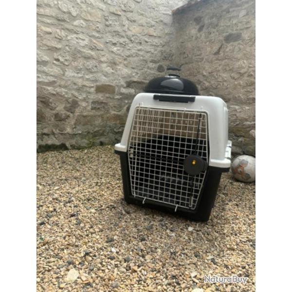 Caisse de transport pour chien taille L