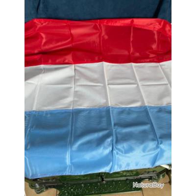 Drapeau Du Luxembourg Sur Bâton - Lot De 6 Ou 12 Drapeaux 14x21 Cm - Polyester Double Face, Mât Plastique 30 Cm - Décoration Extérieure Durable