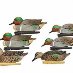 Formes de sarcelle AvianX HD