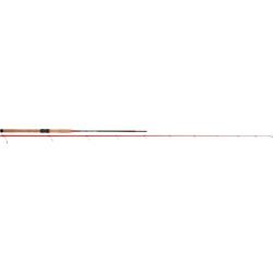 Canne Spinning TENRYU KAIKO IWANA