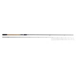 Canne BLACK ARROW 300 G2 10'FT M Sensas