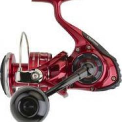 Moulinet DAIWA BG RR LT 3000 D XH ARK