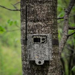 Spypoint Boîtier Antivol Métallique pour Caméras de Surveillance, SB300-S