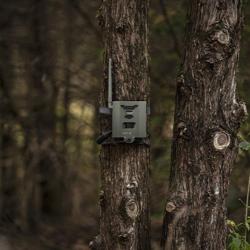 Spypoint Boîtier Antivol SB-500S