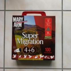 Mary Arm super migration 12/70 n°4+6 BJ