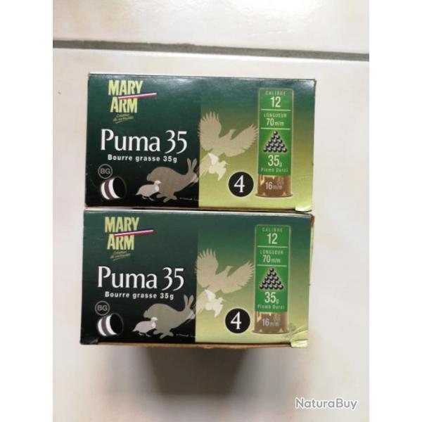 Mary Arm puma 35 12/70 n4 BG